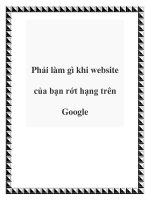 Phải làm gì khi website của bạn rớt hạng trên Google ppt