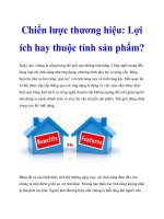 Chiến lược thương hiệu: Lợi ích hay thuộc tính sản phẩm pptx