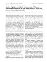 Báo cáo khoa học: Injection of poly(b-L-malate) into the plasmodium of Physarum polycephalum shortens the cell cycle and increases the growth rate pot