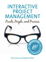 INTERACTIVE PROJECT MANAGEMENT: Pixels, People, and Process pot