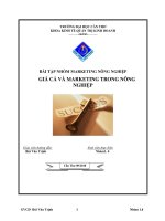 TIỂU LUẬN:GIÁ CẢ VÀ MARKETING TRONG NÔNG NGHIỆP pptx