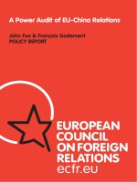 A Power Audit of EU-China Relations John Fox & François Godement POLICY REPORT ppt