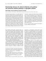 Báo cáo khoa học: Relationships between the ethanol utilization (alc ) pathway and unrelated catabolic pathways in Aspergillus nidulans pptx