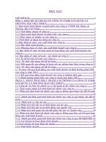 Đề tài: Phân tích tình hình tài chính Công ty TNHH xây dựng và thương mại Việt Thiện doc