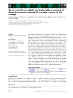 Báo cáo khoa học: De novo synthesis, uptake and proteolytic processing of lipocalin-type prostaglandin D synthase, b-trace, in the kidneys pptx