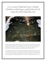 Cơ sở của kỹ thuật kết cụm vi khuẩn (bioflocs technology), nguồn thức ăn bổ sung cho nuôi trồng thủy sản docx