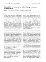 Báo cáo khóa học: Soluble LDL-R are formed by cell surface cleavage in response to phorbol esters pdf