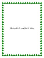 Cấu hình 802.1X trong Mac OS X Lion docx