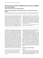 Báo cáo Y học: The a1b1 contact of human hemoglobin plays a key role in stabilizing the bound dioxygen Further evidence from the iron valency hybrids potx
