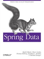 Spring Data Modern Data Access for Enterprise Java pdf