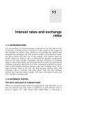 Interest rates and exchange rates docx