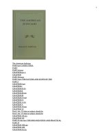 The American Judiciary pptx