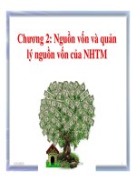 Chương 2: Nguồn vốn và quản lý nguồn vốn của ngân hàng thương mại ppt