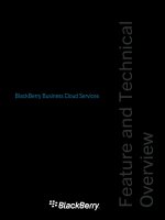 BlackBerry Business Cloud Services pot