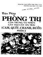 Biện pháp phòng trị côn trùng và nhện gây hại cây trái pptx