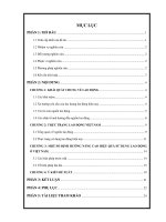 Tiểu luận: Nâng cao hiệu quả sử dụng nguồn lao động trong doanh nghiệp docx