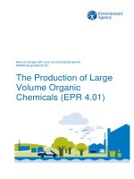 The Production of Large Volume Organic Chemicals (EPR 4.01) pptx