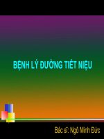 BỆNH LÝ ĐƯỜNG TIẾT NIỆU pptx