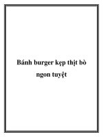 Bánh burger kẹp thịt bò ngon tuyệt pptx