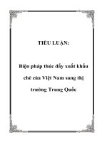 TIỂU LUẬN: Biện pháp thúc đẩy xuất khẩu chè của Việt Nam sang thị trường Trung Quốc docx