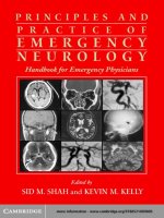 Principles and Practice of Emergency Neurology pot