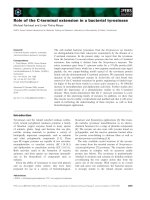 Báo cáo khoa học: Role of the C-terminal extension in a bacterial tyrosinase Michael Fairhead and Linda Thony-Meyer doc