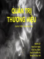QuẢN TRỊ THƯƠNG hiệu - Quản trị thương hiệu sản phẩm thuốc lá