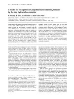 Báo cáo Y học: A model for recognition of polychlorinated dibenzo-p-dioxins by the aryl hydrocarbon receptor docx