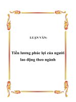 LUẬN VĂN: Tiền lương phúc lợi của người lao động theo ngành docx