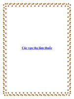 Cúc vạn thọ làm thuốc doc