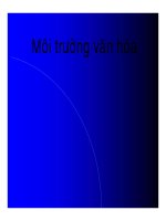 kinh doanh quốc tế - chương 4 môi trường văn hóa