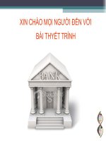 Cấu Trúc Ngân Hàng Thế Giới & Liên hệ Việt Nam pptx