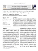 synthesis and characterization of conductive polypyrrole multi-walled carbon