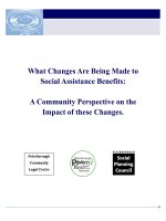 What Changes Are Being Made to Social Assistance Benefits: A Community Perspective on the Impact of these Changes. pdf