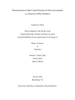 Characterization of Spin Coated Polymers in Nano-environments as a Function of Film Thickness pot