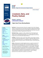 Livestock, Dairy, and Poultry Outlook potx