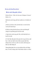 Bìa bọc sách bằng Phim pôliexte potx