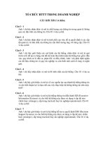 TỔ CHỨC HTTT TRONG DOANH NGHIỆP pot