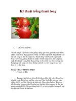 Kỹ thuật trồng thanh long docx