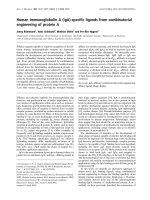 Báo cáo Y học: Human immunoglobulin A (IgA)-speciﬁc ligands from combinatorial engineering of protein A ppt