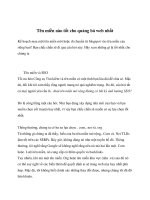 Tên miền nào tốt cho quảng bá web nhất pptx