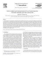 facile synthesis and characterization of novel nanocomposites