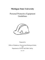 Michigan State University Personal Protective Equipment Guidelines potx