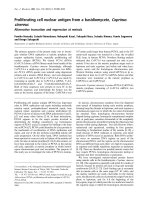 Báo cáo Y học: Proliferating cell nuclear antigen from a basidiomycete, Coprinus cinereus Alternative truncation and expression at meiosis pptx