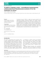 Báo cáo khoa học: A guide to taming a toxin – recombinant immunotoxins constructed from Pseudomonas exotoxin A for the treatment of cancer ppt