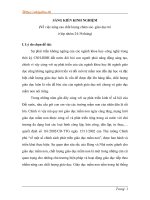 SÁNG KIẾN KINH NGHIỆM (Về việc nâng cao chất lượng chăm sóc–giáo dục trẻ ở lớp nhóm 24-36 tháng) ppt