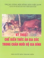 kỹ thuật chế biến thức ăn gia súc trong chăn nuôi hộ gia đình