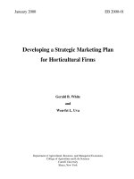 Developing a Strategic Marketing Plan for Horticultural Firms potx
