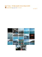 Nha Trang – Vẻ đẹp quyến rũ của rừng và biểnhdieu Ngày cập nhật 14/12/2007 Bình luận: 0.TìmNhanh! - Rời thành phố Hồ Chí Minh – thành phố thương mại nhộn nhịp, sầm uất, du khách đi ngược theo quốc lộ 1A khoảng hơn 400 Km sẽ được ngắm nhìn một tò ppt