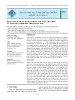 KHẢ NĂNG SỬ DỤNG BÃ MÍA TRONG SẢN XUẤT CHẤT BÉO TỪ NẤM MEN YARROWIA LIPOLYTICA Po1G potx